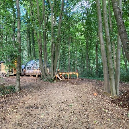 Le Dome De Namur - Une Nuit Insolite Dans Les Bois Exterior photo