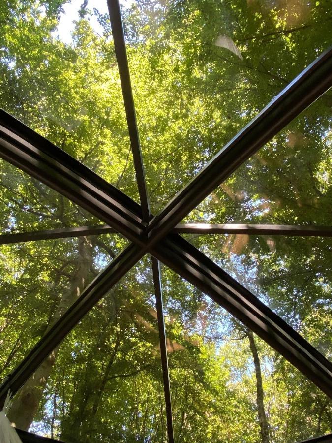 Le Dome De Namur - Une Nuit Insolite Dans Les Bois Exterior photo