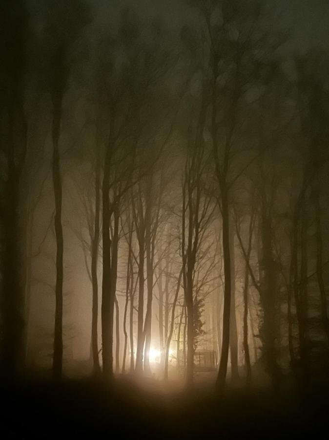 Le Dome De Namur - Une Nuit Insolite Dans Les Bois Exterior photo
