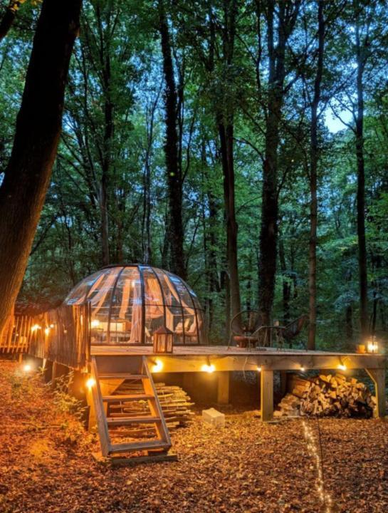 Le Dome De Namur - Une Nuit Insolite Dans Les Bois Exterior photo